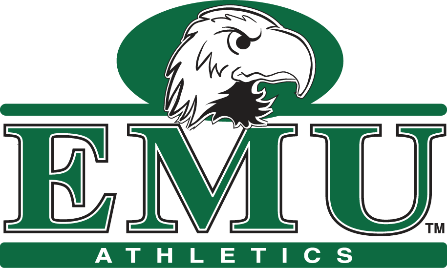 Eastern Michigan Eagles 2003-2012 Alternate Logo diy iron on heat transfer
